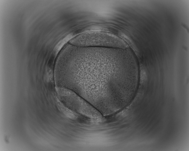 X0000099941465200806061506
