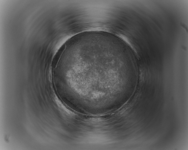 X0000099941468200806061506
