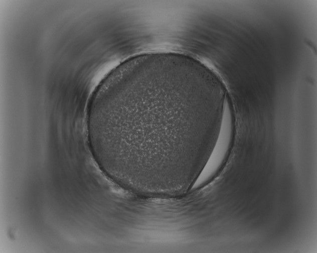X0000099941469200806061506