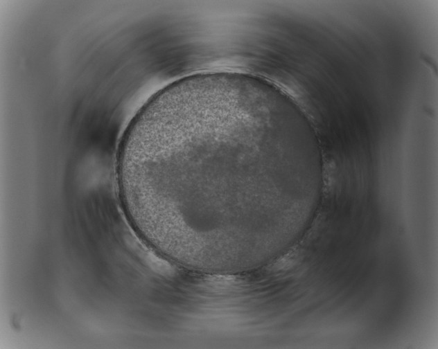 X0000099941470200806061506