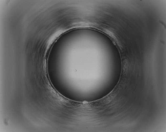 X0000099941472200806061506