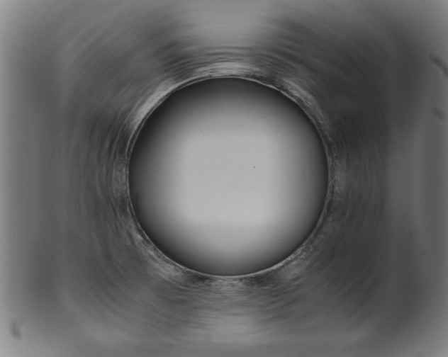 X0000099941473200806061506