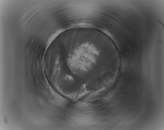 X0000099941474200806061506