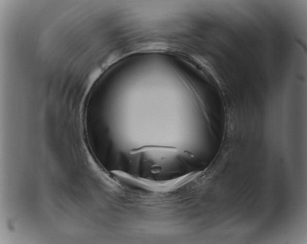 X0000099941475200806061506