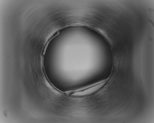 X0000099941476200806061506
