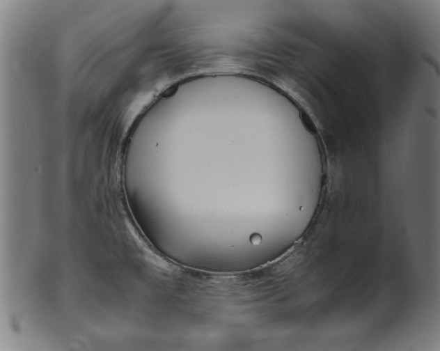 X0000099941477200806061506