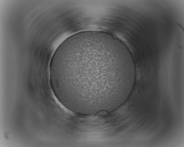 X0000099941479200806061506