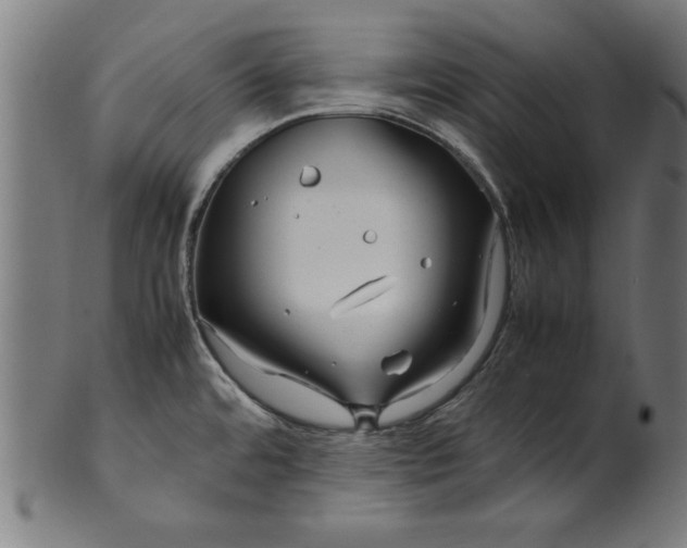 X0000099941480200806061506