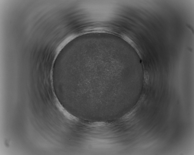 X0000099941482200806061506