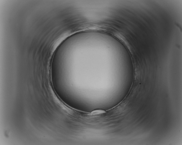 X0000099941483200806061506