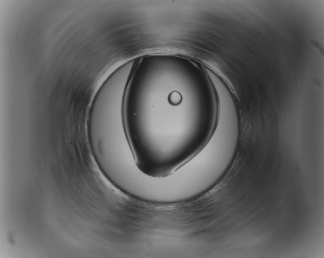 X0000099941484200806061506