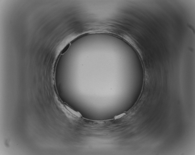 X0000099941485200806061506