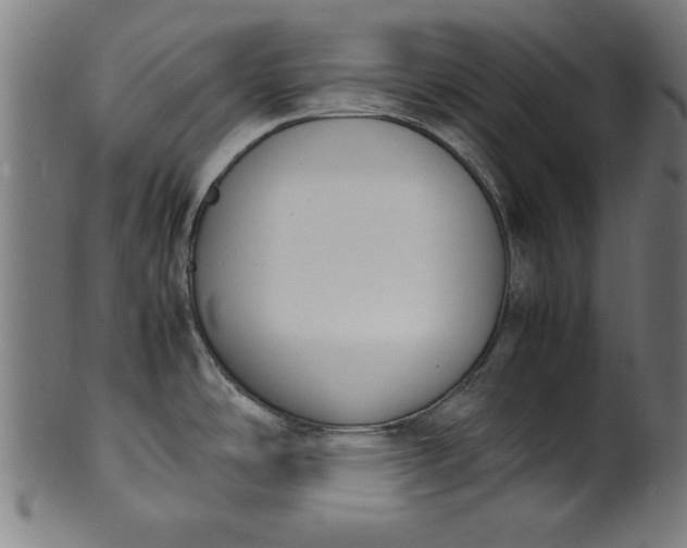 X0000099941486200806061506