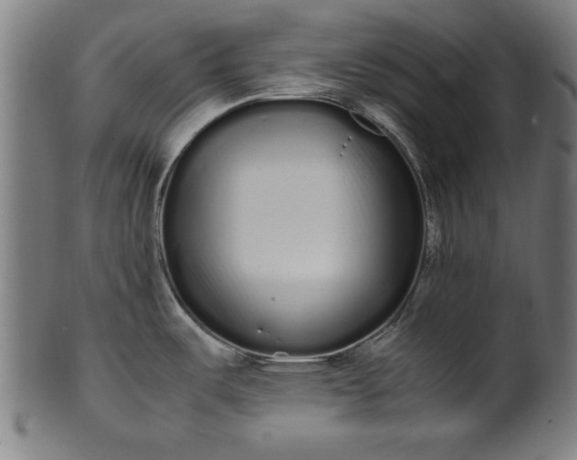 X0000099941487200806061506
