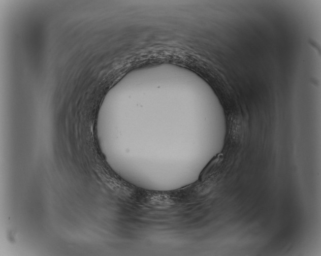 X0000099941489200806061505