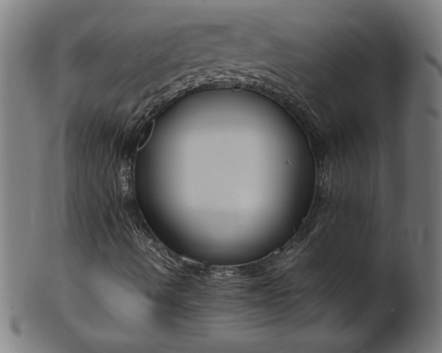 X0000099941490200806061505