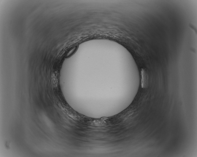X0000099941491200806061505