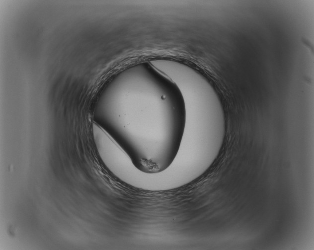X0000099941492200806061505
