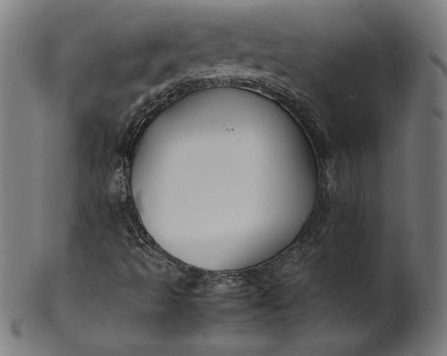 X0000099941493200806061505