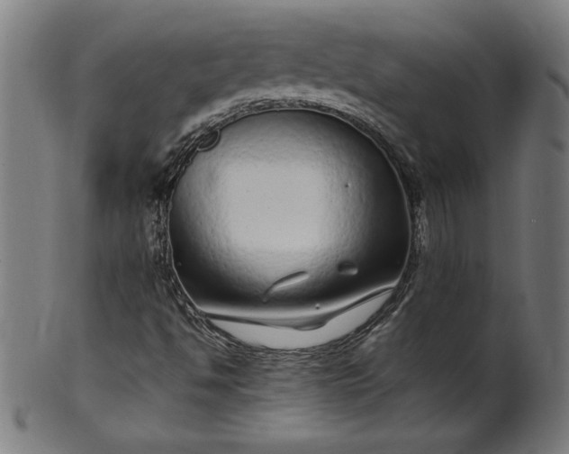 X0000099941494200806061505