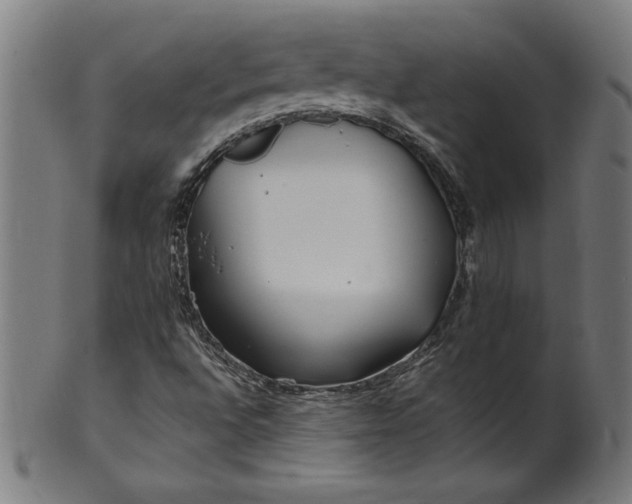 X0000099941496200806061505