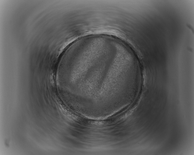 X0000099941497200806061505
