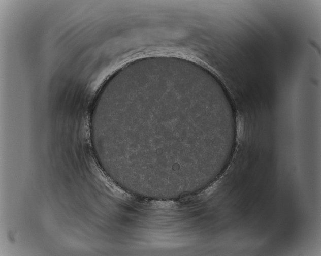 X0000099941498200806061505