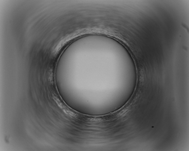 X0000099941499200806061505