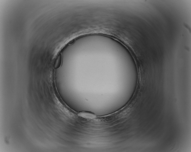 X0000099941500200806061505