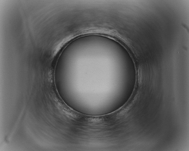 X0000099941501200806061505