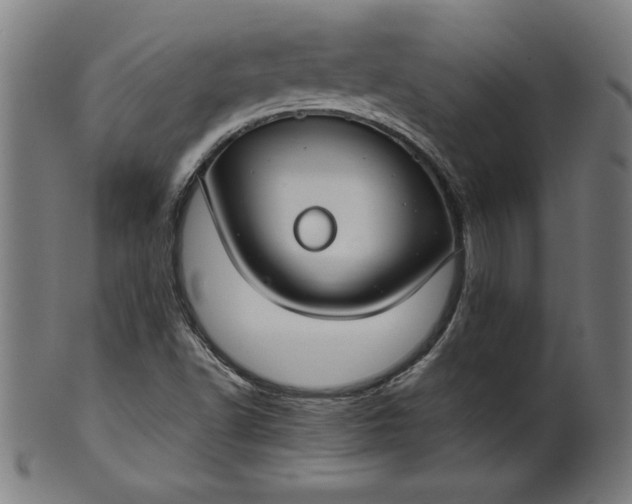 X0000099941502200806061505