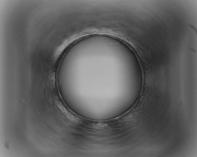X0000099941503200806061505