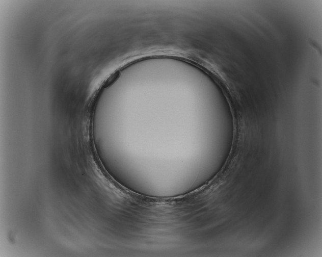 X0000099941504200806061505