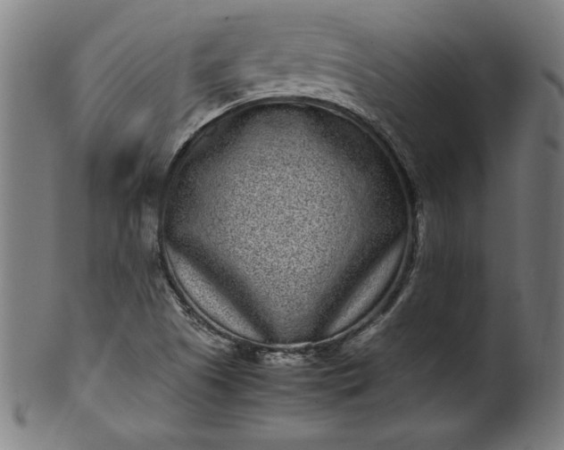 X0000099941505200806061505