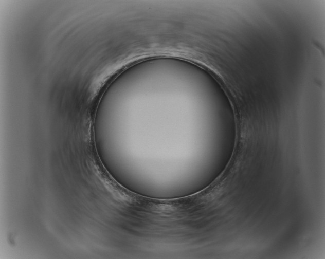 X0000099941507200806061505