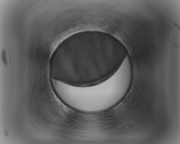 X0000099941508200806061505