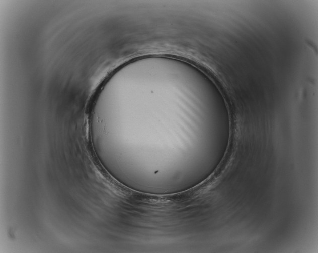 X0000099941509200806061505