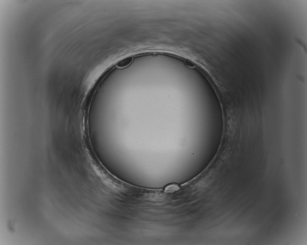 X0000099941511200806061505