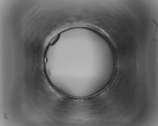 X0000099941512200806061505