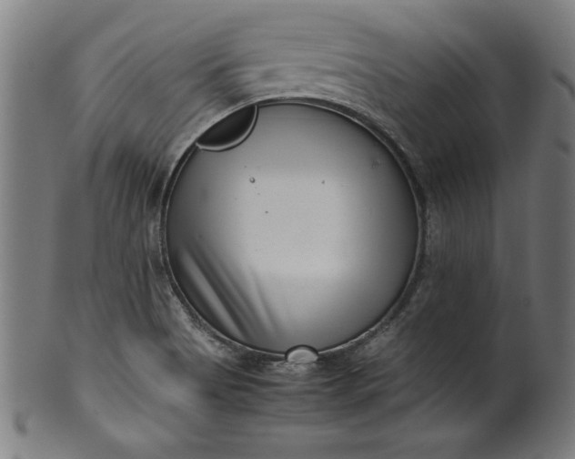 X0000099941513200806061505