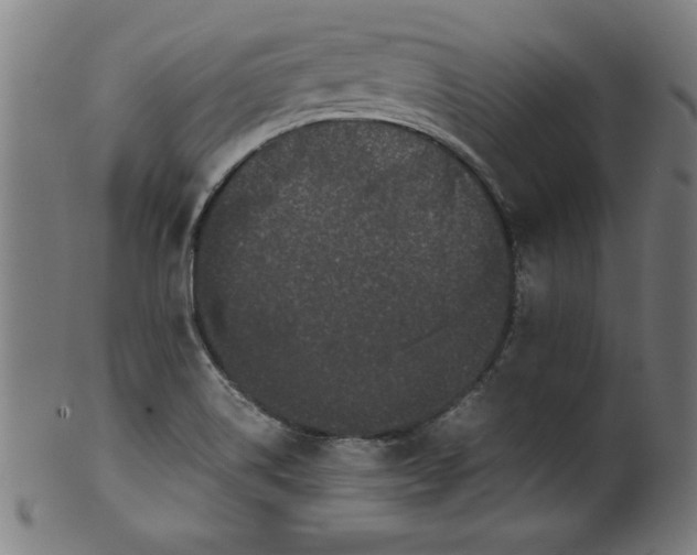 X0000099941514200806061505