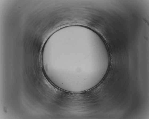 X0000099941516200806061506