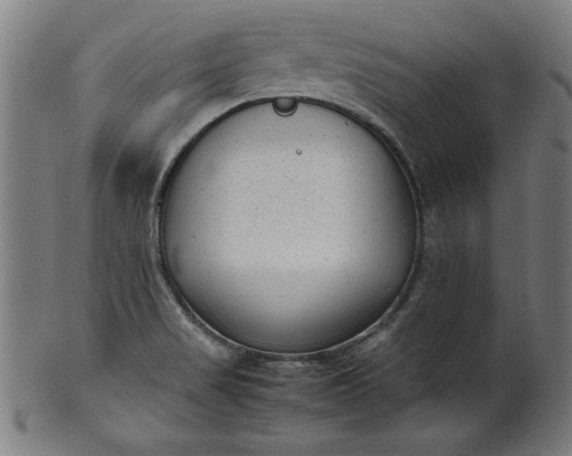 X0000099941517200806061506