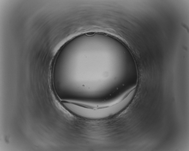 X0000099941518200806061506