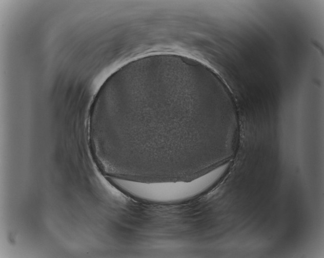 X0000099941519200806061506