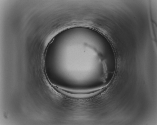 X0000099941520200806061506