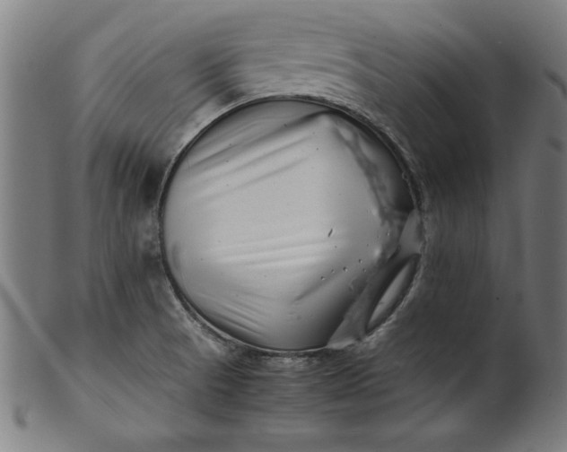 X0000099941521200806061506