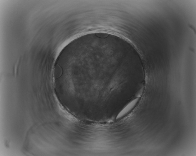 X0000099941522200806061506