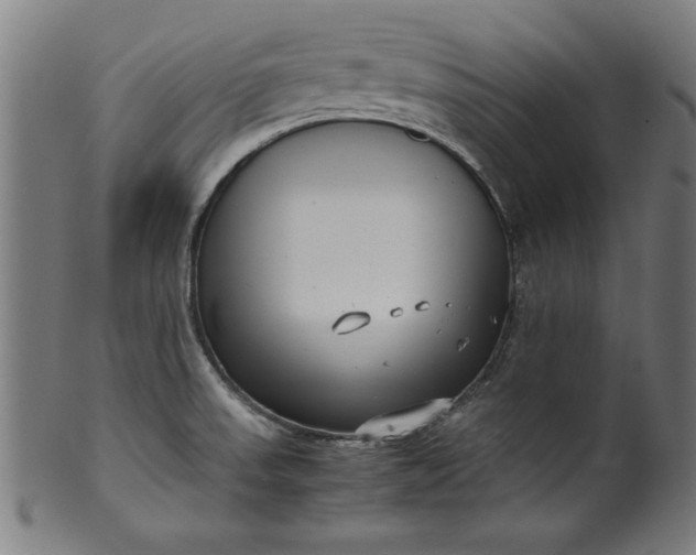 X0000099941523200806061506