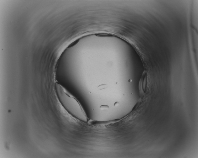X0000099941524200806061506